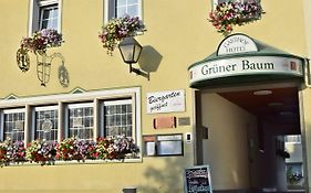 Hotel Gruener Baum